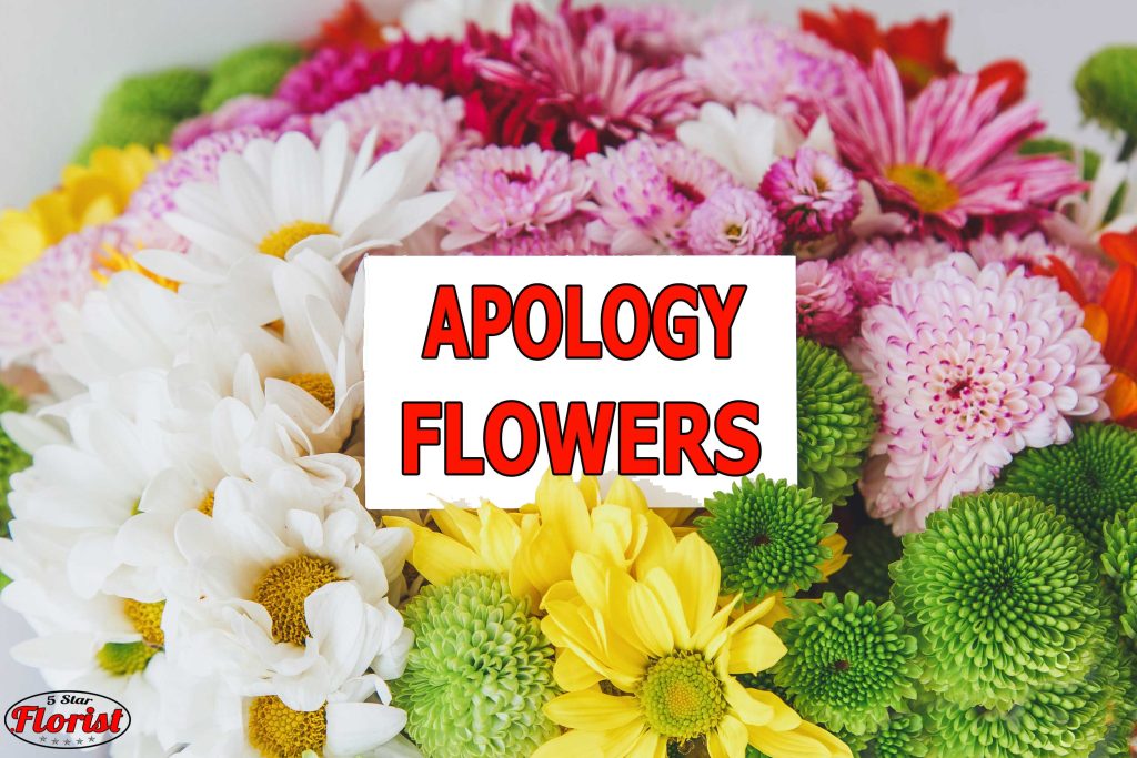 apology flowers New Haven