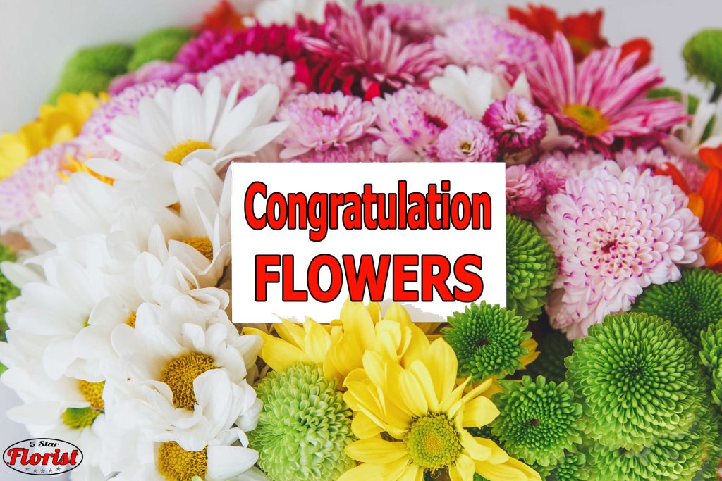 congratulations flowers New Haven